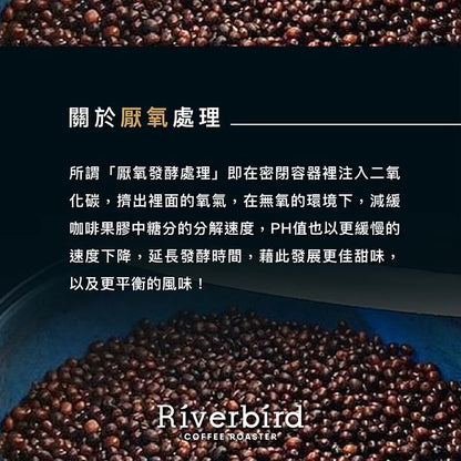 江鳥咖啡 【Riverbird】《10入掛耳》肯亞 祈安布AA