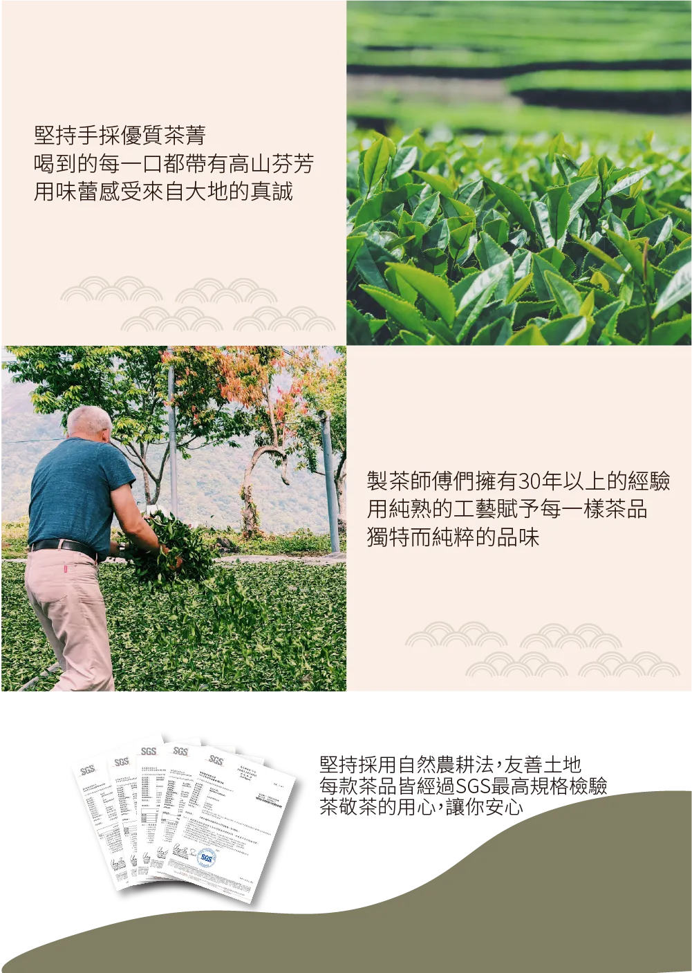 茶敬茶 蜜柑烏龍 Tea to Tea(10入*盒)