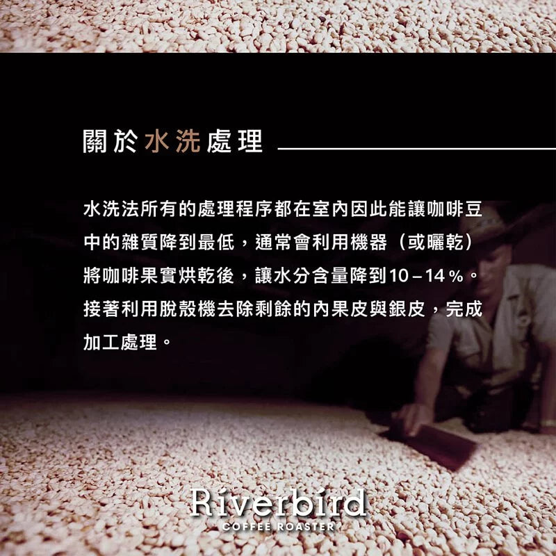 江鳥咖啡 【Riverbird】《225g》秘魯 艾雷拉小農