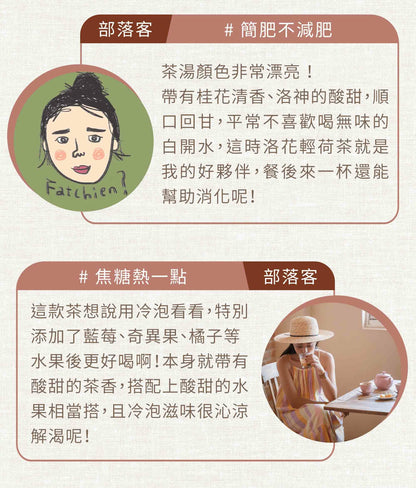 新譯漢方 洛花輕荷茶｜漢方養生茶包 【幫助代謝】SEE IN HERB Red Roselle Diet Tea(21入)