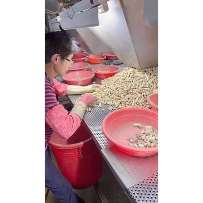 雲林9號花生 九號鹹酥(600*包)