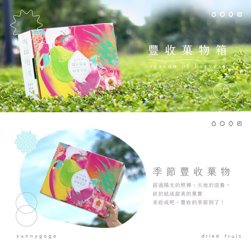 陽光菓菓 豐收菓物箱