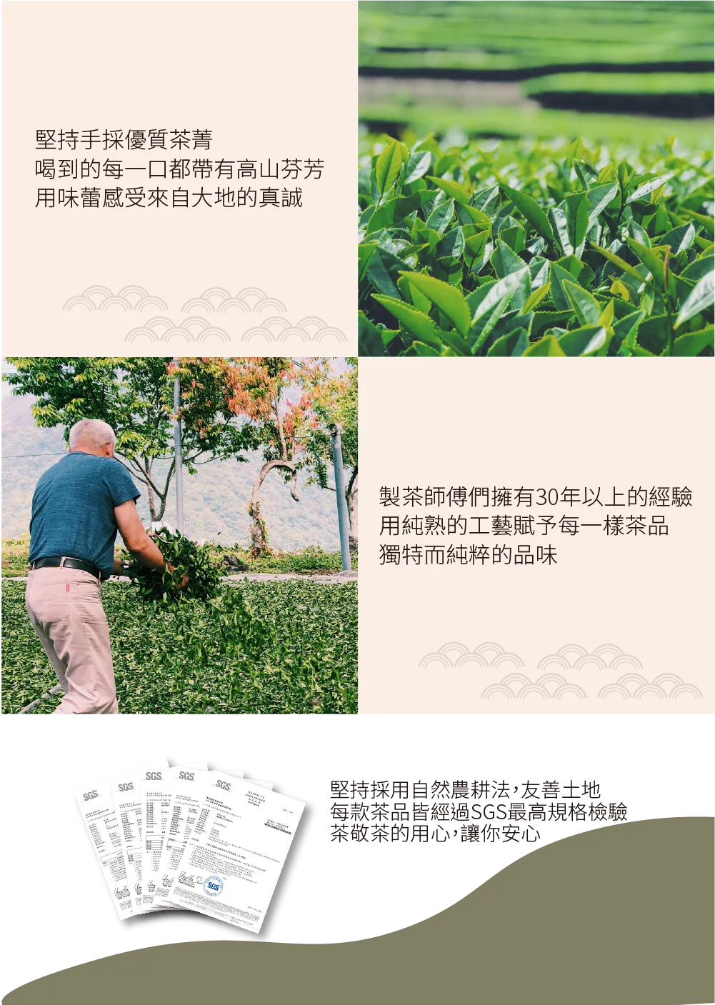 茶敬茶 幽香烏龍 Tea to Tea(10入*盒)