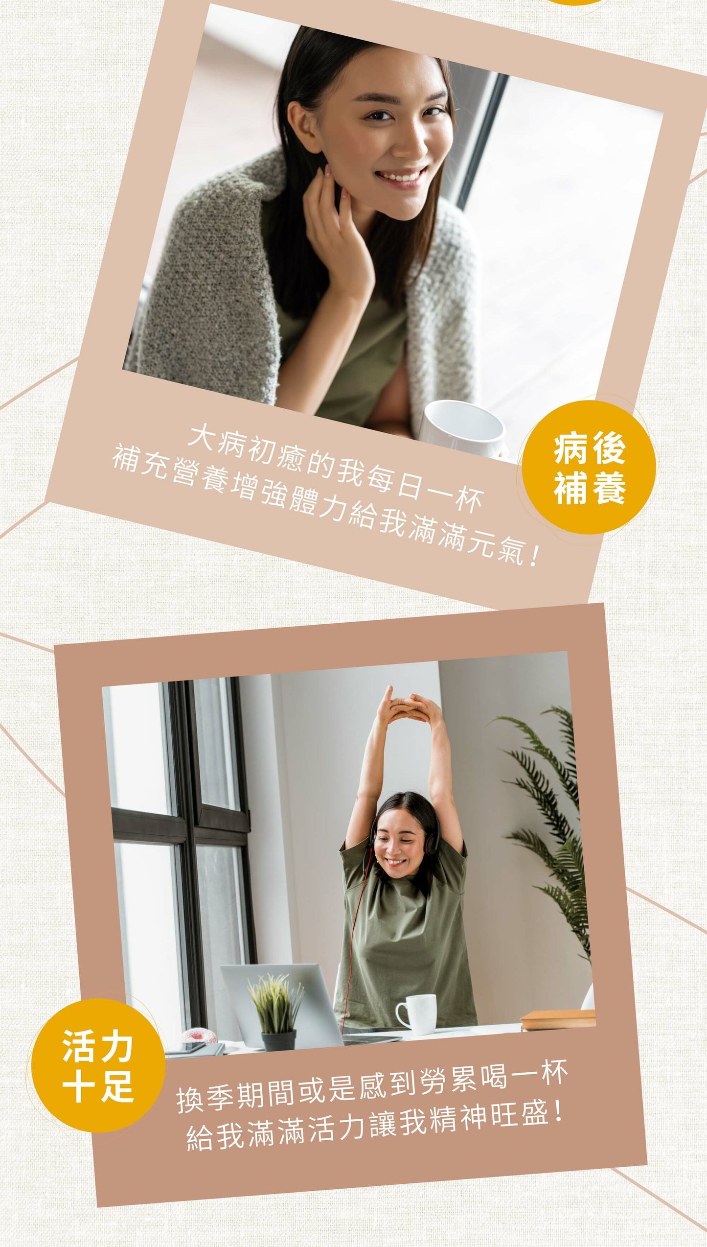 新譯漢方 活力雙耆茶｜漢方養生茶包 【健康維持】See In Herb ASTRAGALUS TEA(10入)