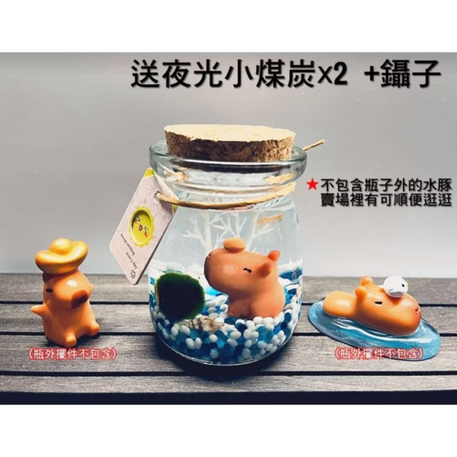 綠藻球生態瓶 微景觀生態瓶 瓶手做DIY(套裝組)(1組)