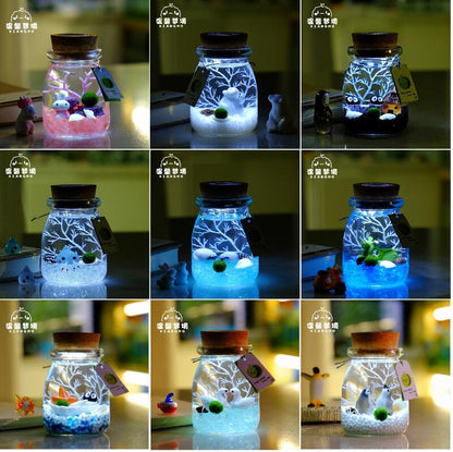 綠藻球生態瓶 微景觀生態瓶 瓶手做DIY(套裝組)(1組)