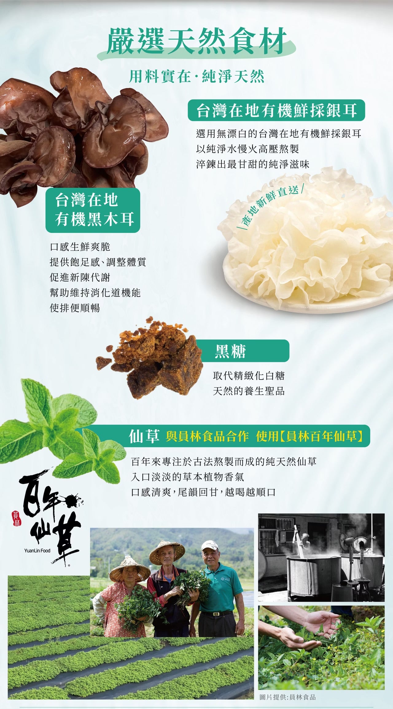 歐典生機 黑糖仙草双耳飲290ml(8入禮盒*3盒/箱)