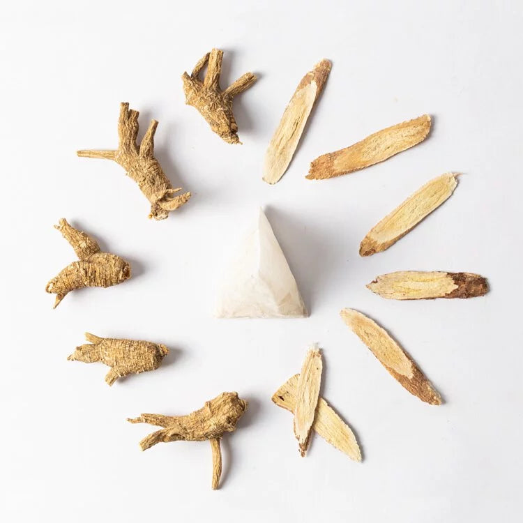 新譯漢方 潤顏粉光蔘｜漢方養生茶包 【精神養顏】 See In Herb American Ginseng Tea  (21入)