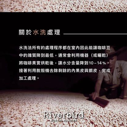 江鳥咖啡 【Riverbird】《10入掛耳》新幾內亞 天堂鳥莊園